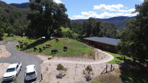 Amaroo Valley Springs - Accommodation QLD 19