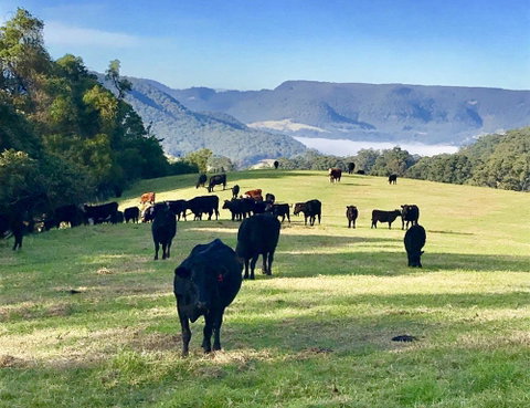 Amaroo Valley Springs - Accommodation QLD 5