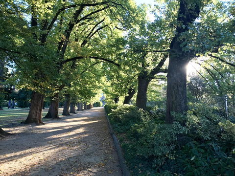 The Botanical 201 - Accommodation QLD 17