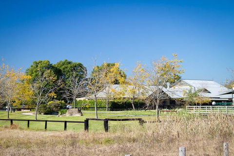 Potters Apartments - Accommodation QLD 26