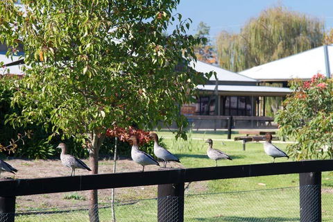 Potters Apartments - Accommodation QLD 25