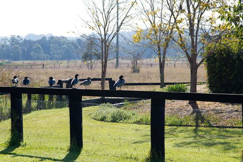 Potters Apartments - Accommodation QLD 24