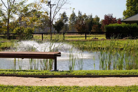 Potters Apartments - Accommodation QLD 23