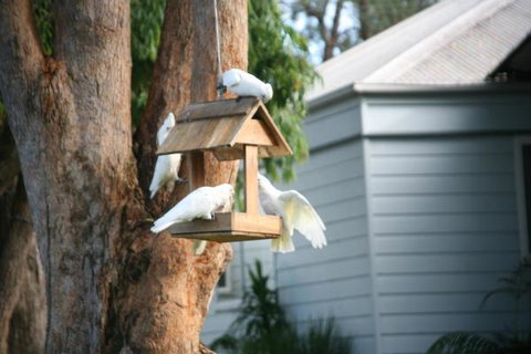 Huskisson Holiday Motel Cabins - Accommodation QLD 29