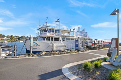 Huskisson Holiday Motel Cabins - Accommodation QLD 6
