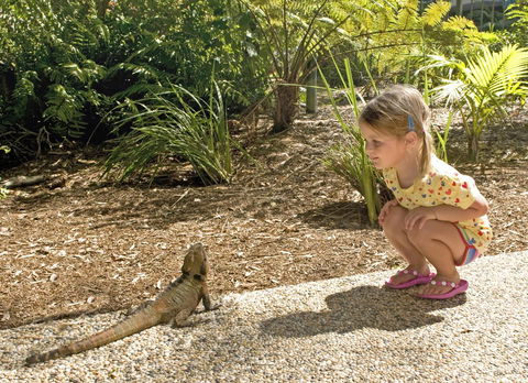 Flynns Beach Resort - Accommodation QLD 16