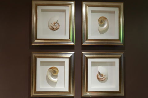 Peppers The Hills Lodge - Accommodation QLD 11