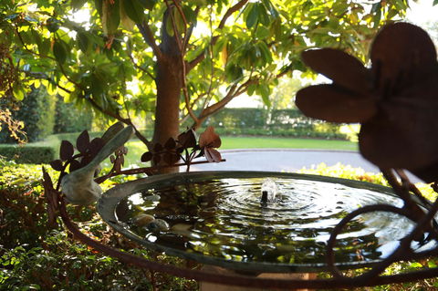 Peppers The Hills Lodge - Accommodation QLD 30