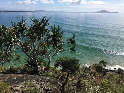 Hat Head Beach Cottage 1 - Accommodation QLD 23