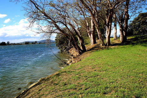 Terara Riverside Retreat - Accommodation QLD 32