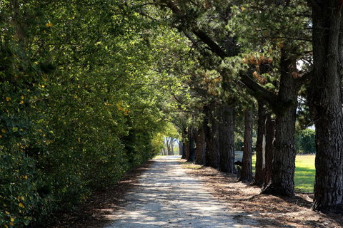 Terara Riverside Retreat - Accommodation QLD 26