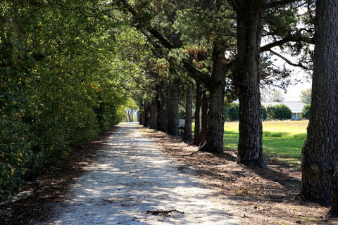 Terara Riverside Retreat - Accommodation QLD 30