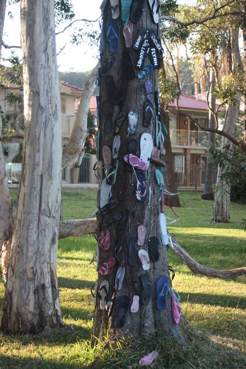 Ambience - Accommodation QLD 33