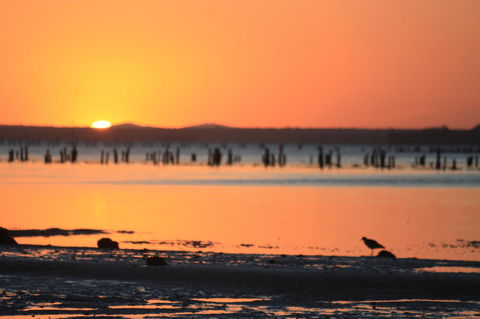 Ambience - Accommodation QLD 35