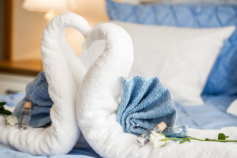 Ambience - Accommodation QLD 11