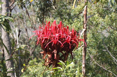 Ambience - Accommodation QLD 30