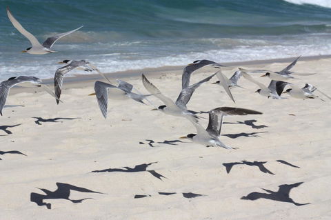 Ambience - Accommodation QLD 32