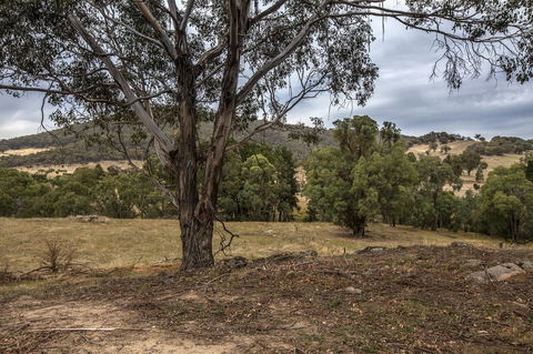 Pound Creek Gallery - Accommodation QLD 29