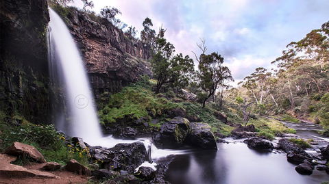 Pound Creek Gallery - Accommodation QLD 14