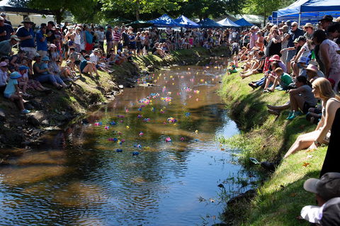 Pound Creek Gallery - Accommodation QLD 15