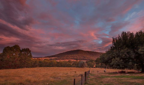 Pound Creek Gallery - Accommodation QLD 28
