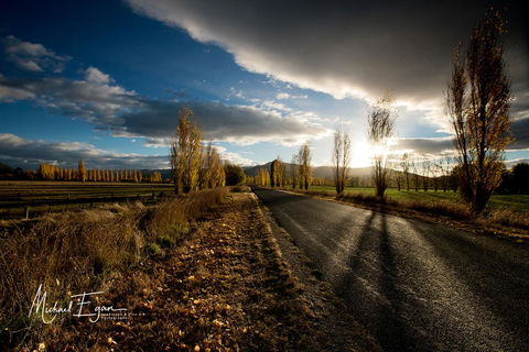 Pound Creek Gallery - Accommodation QLD 19