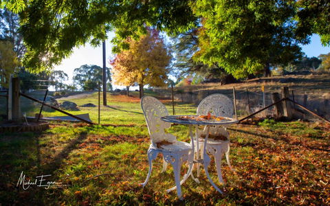 Pound Creek Gallery - Accommodation QLD 27