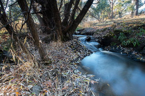 Pound Creek Gallery - Accommodation QLD 26