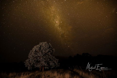Pound Creek Gallery - Accommodation QLD 12