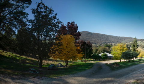 Pound Creek Gallery - Accommodation QLD 7