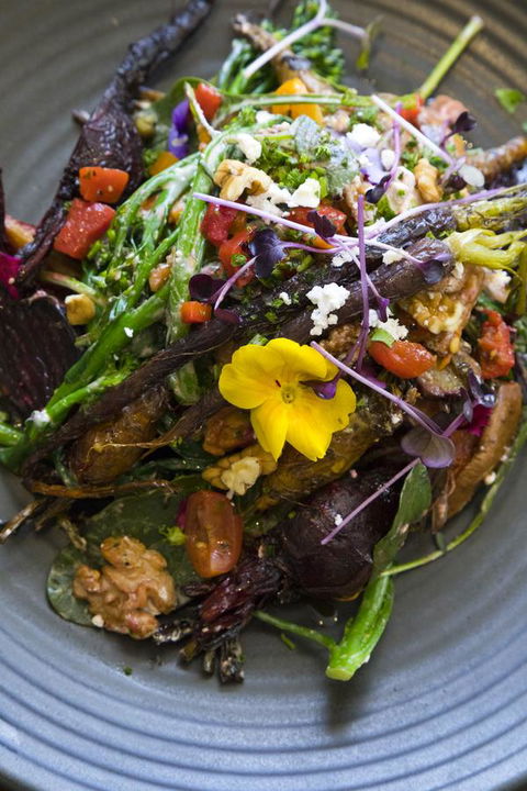 Sage Hotel Wollongong - Accommodation QLD 21