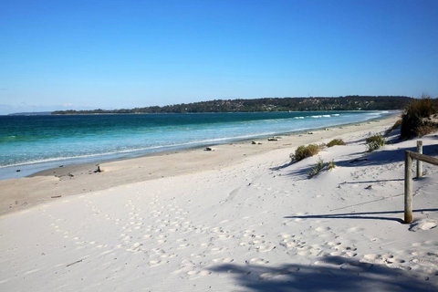 Jervis Bay Beach Shack I Pet Friendly - Accommodation QLD 17