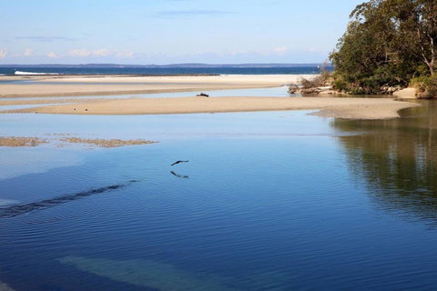 Jervis Bay Beach Shack I Pet Friendly - Accommodation QLD 19