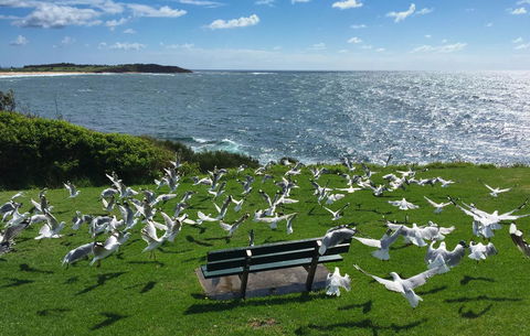 Waterview Beach Apartment - Accommodation QLD 25