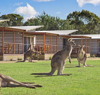 Discovery Parks  Pambula Beach - Accommodation QLD