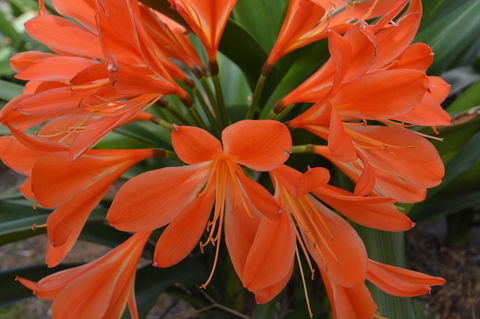 JE Guesthouse, Central To All The Hunter Valley Has To Offer - Accommodation QLD 39