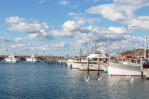 Birubi Beach Holiday Park - Accommodation QLD 34