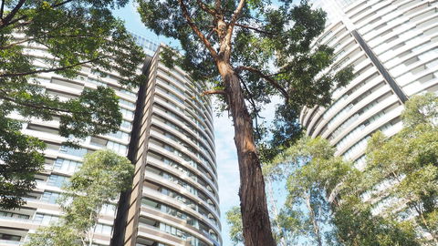 SkyGarden Sydney Olympic Park 3 & 4 Bedroom City View - Accommodation QLD 33