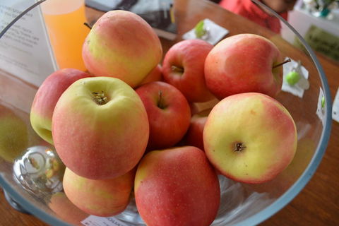 The Apple Inn - Accommodation QLD 12