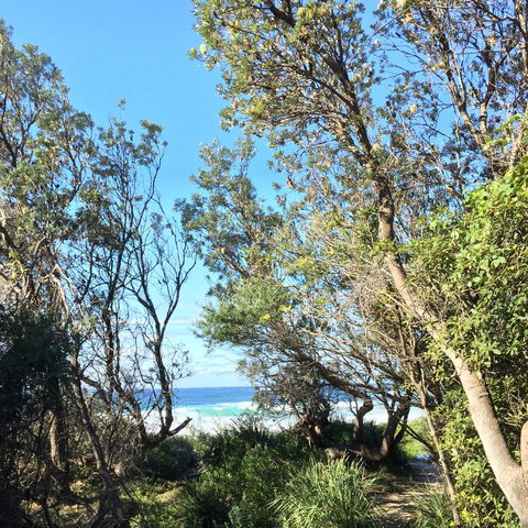 Salthouse Berrara - Accommodation QLD 22
