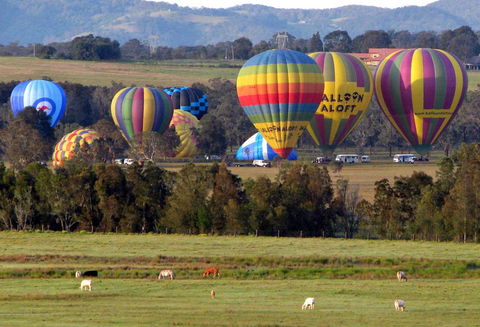 Adina Vineyard - Accommodation QLD 9
