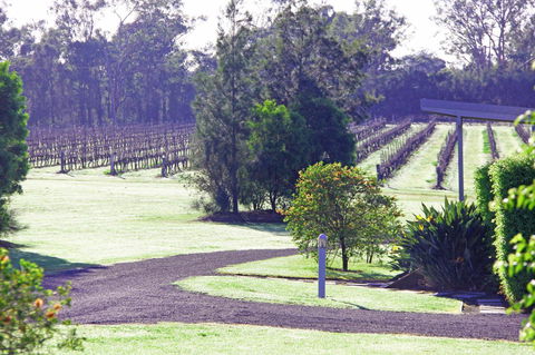 Adina Vineyard - Accommodation QLD 14