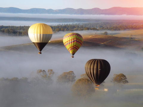 Adina Vineyard - Accommodation QLD 21