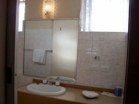 Hunter Valley Motel - Accommodation QLD 22