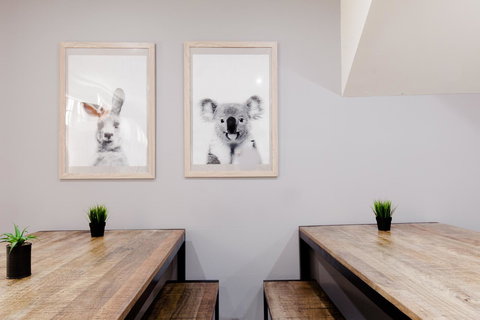 Mad Monkey Broadway - Accommodation QLD 0