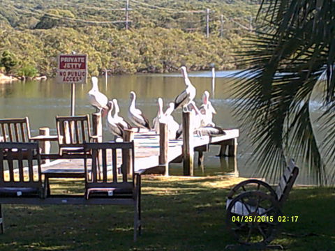 Pelican H2O One & Two Bedroom Apartments - Accommodation QLD 9