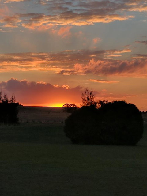 Madigan Wine Country Cottages - Accommodation QLD 13