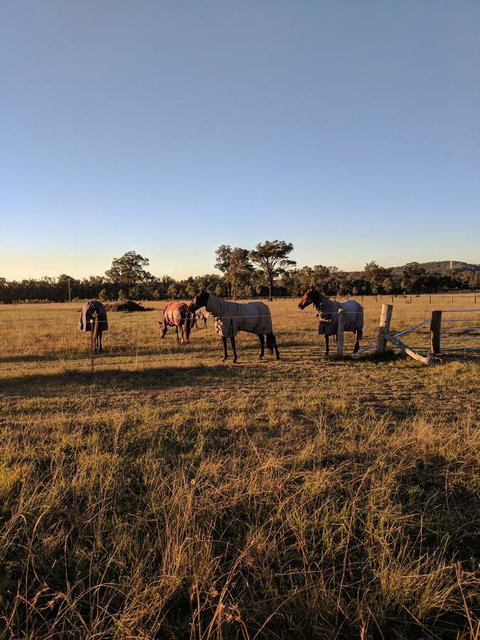 Madigan Wine Country Cottages - Accommodation QLD 8