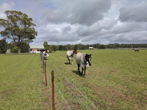 Madigan Wine Country Cottages - Accommodation QLD 9