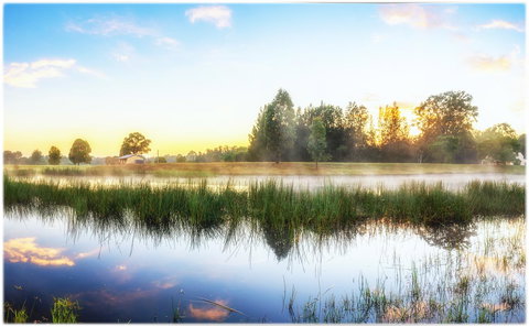 Madigan Wine Country Cottages - Accommodation QLD 19